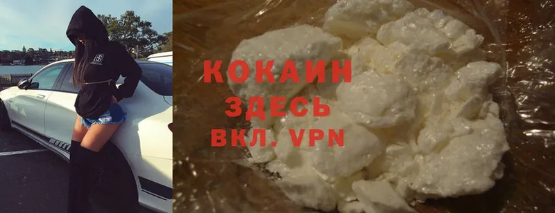 Cocaine FishScale  Будённовск 